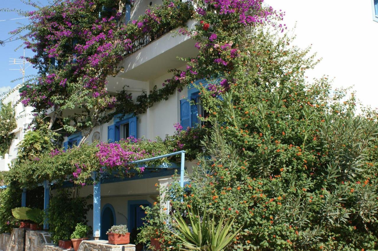 Pension Sofi Naxos City Exterior photo